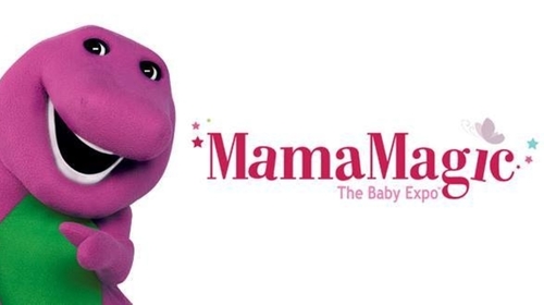 South Africa - Durban Expo Centre - Barney at MamaMagic