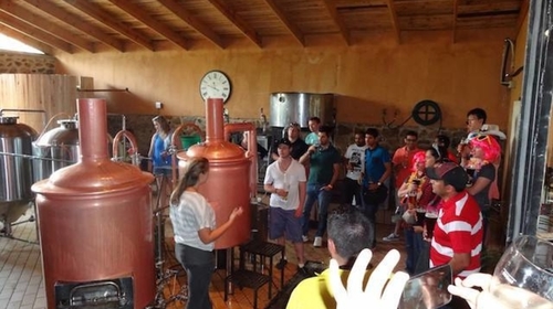 Cape Meander Beer Tour