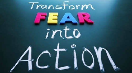 Honey Business opportunity / information training