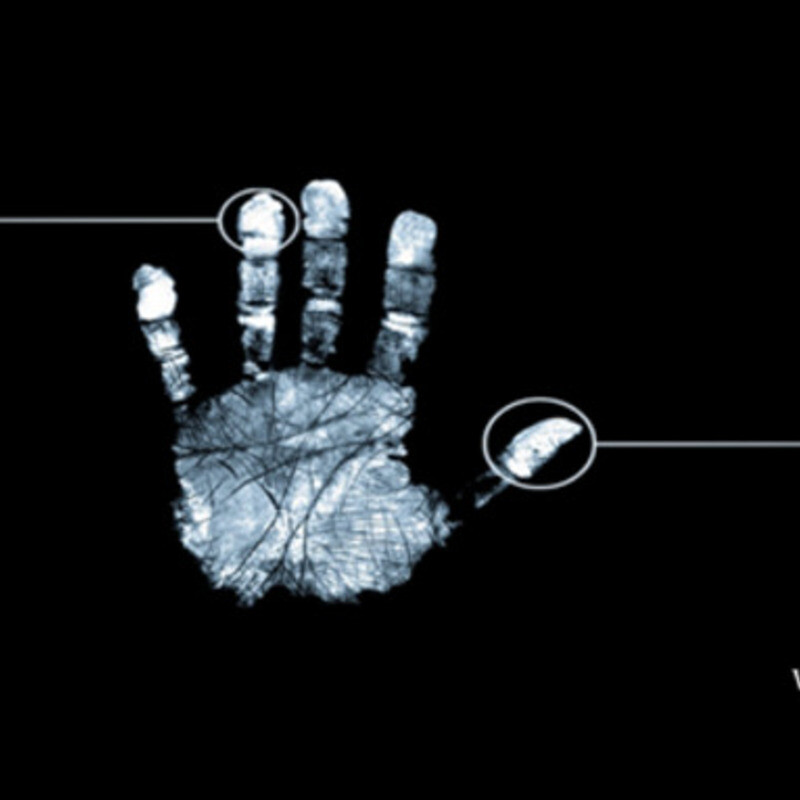 Ideal Security Expo 2014