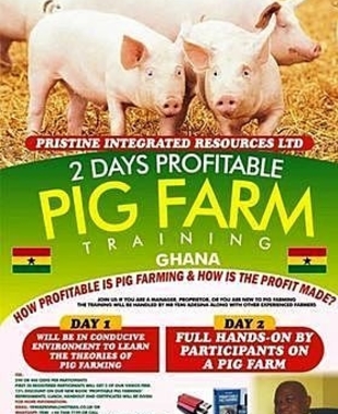 2 Days Profitable Pig Farm Training