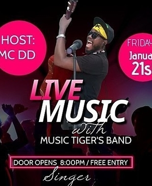 Live Music with Music Tiger's Band