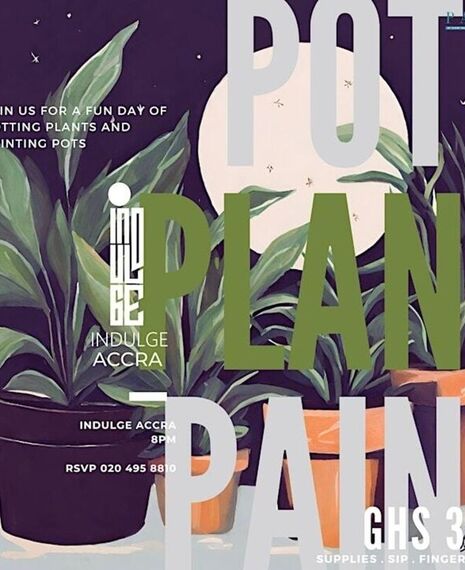 POTS - PLANTS - PAINT
