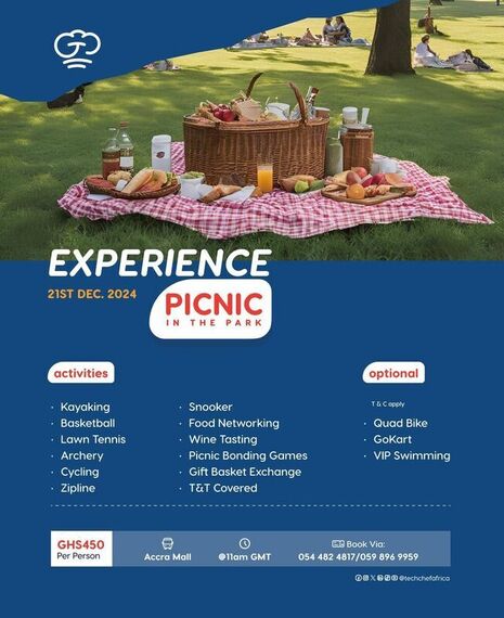 Experience Picnic In The Park 
