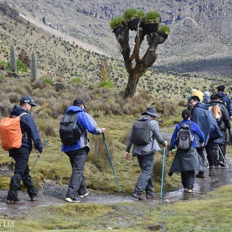 Mount Kenya Sirimon Route
