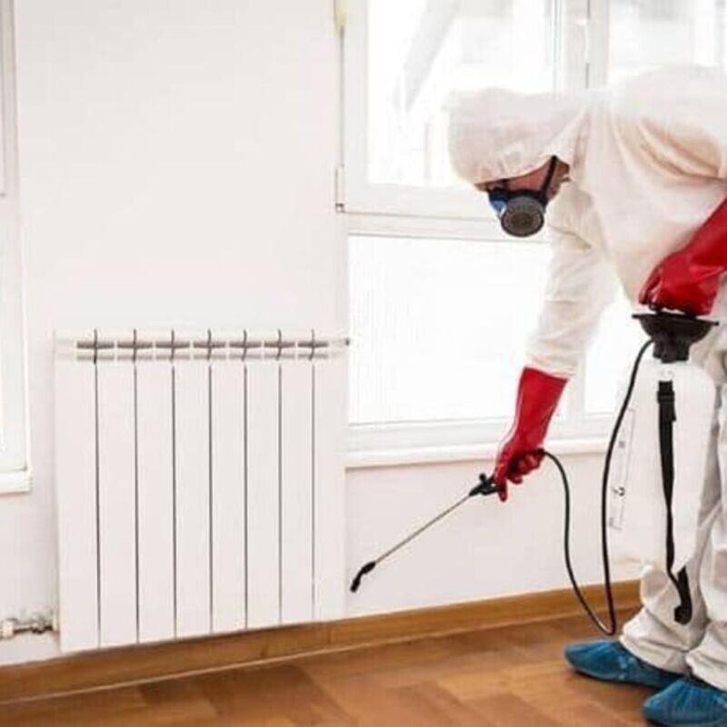 Fumigation and Pest Control