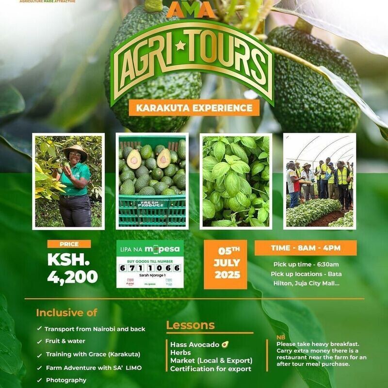 Karakuta Farm Experience