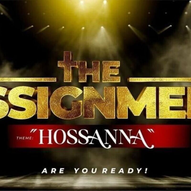THE ASSIGNMENT