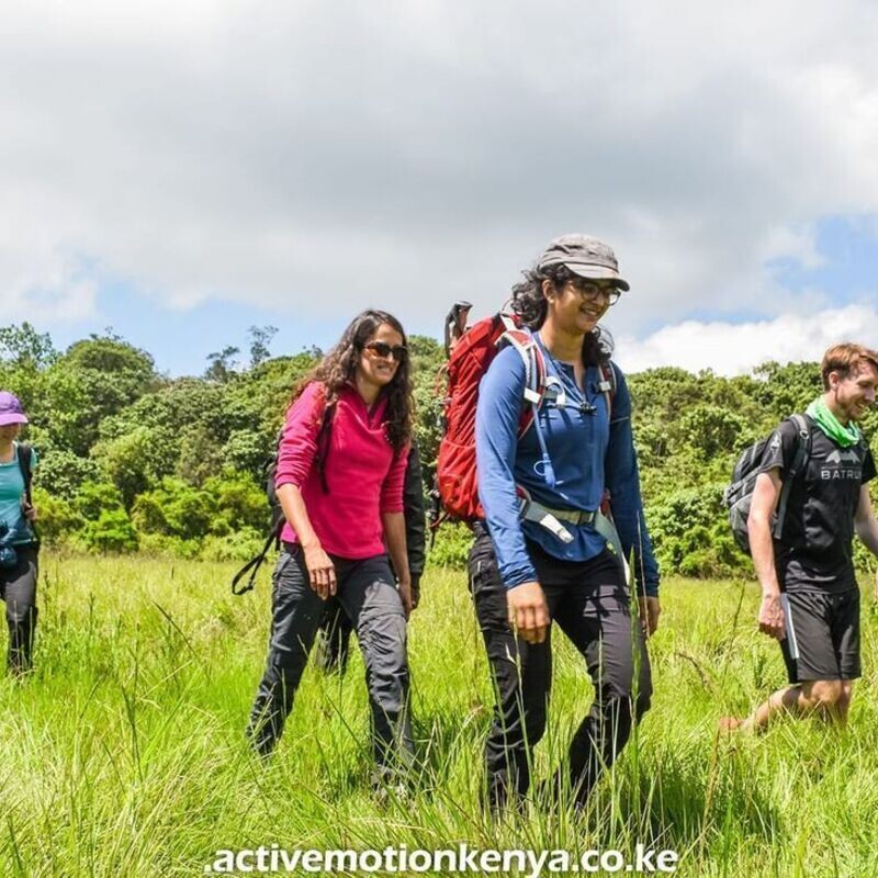Eburru Forest Hike