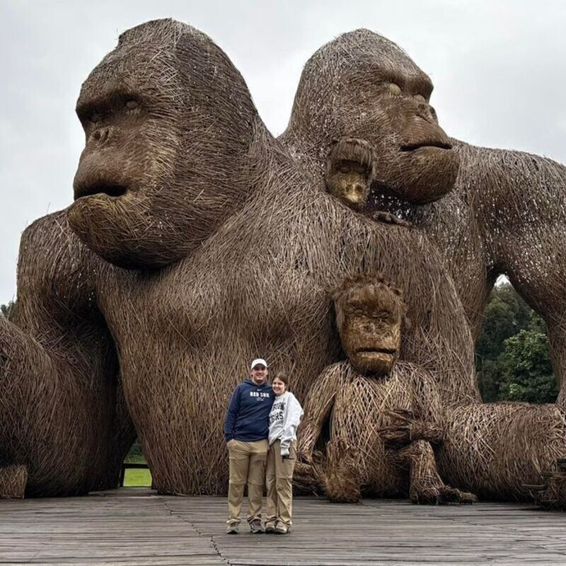 Rwanda Gorilla 🦍 Trekking Experience