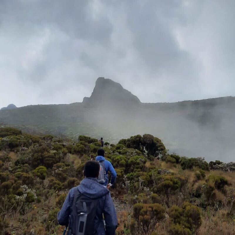 Hikemaniak Mt. Kinangop Tulaga Trail