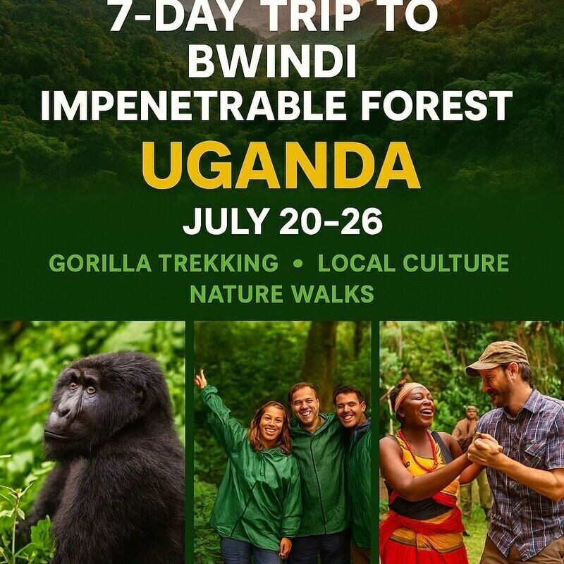 Gorilla Trekking