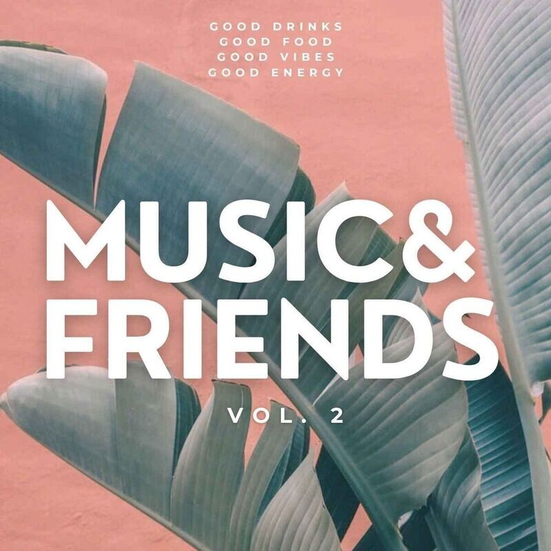 Music & Friends Vol.2
