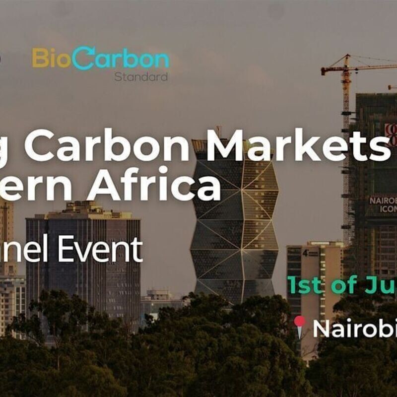 Scaling Carbon Markets in Eastern Africa - panel & networking event