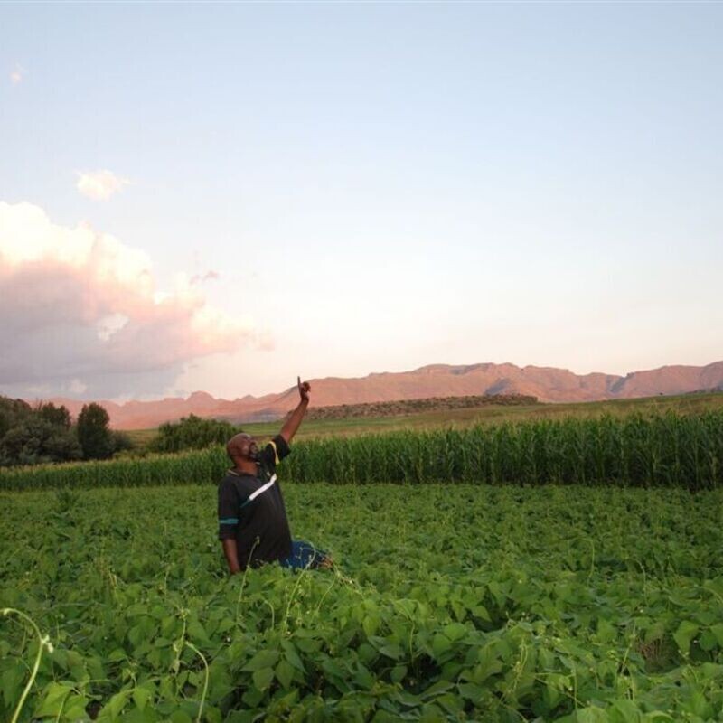 Farming God's Way 4-Day Vegetable Training