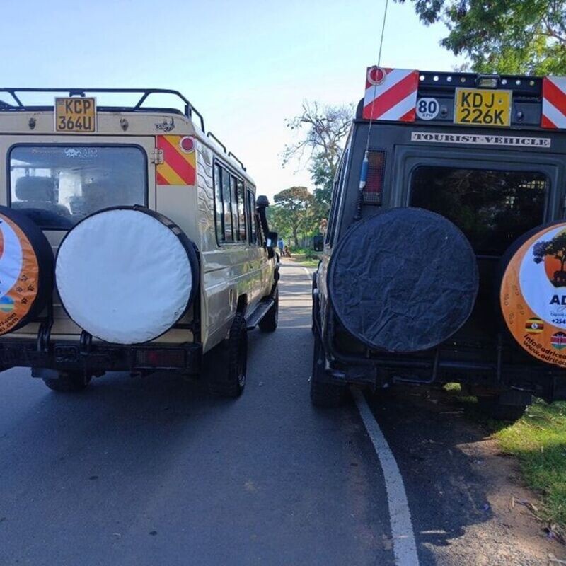 Escape To Bongo: Moshi & Arusha Overland Roadtrip with Adrica Adventures