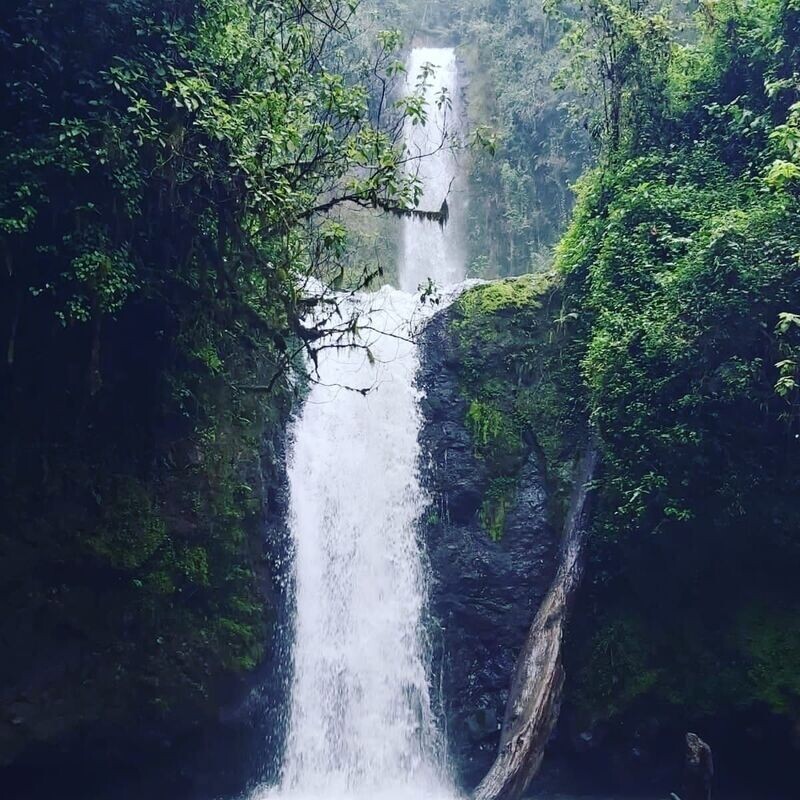 Hikemaniak Kimakia Forest Waterfall Chase