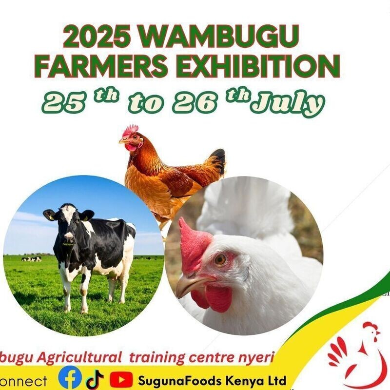 Wambugu Farmers Exhibition