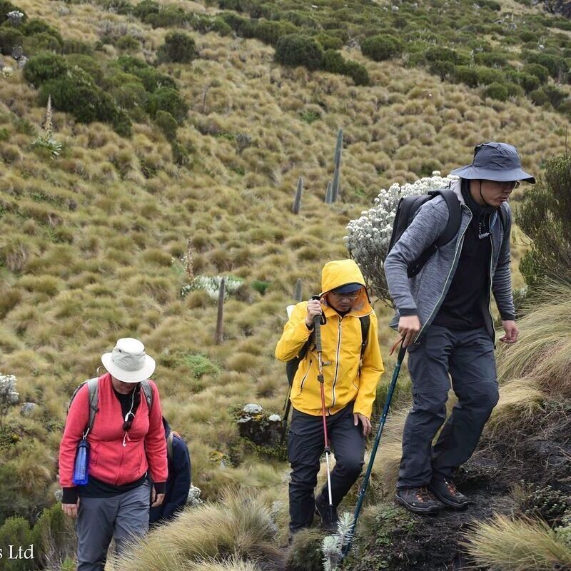 Mount Kenya Chogoria-Sirimon (4 Days)