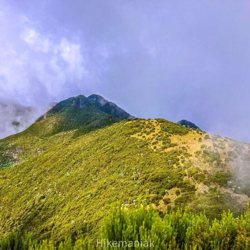 Mt. Kinangop, 12 Apostles & Elephant Hill Traverse