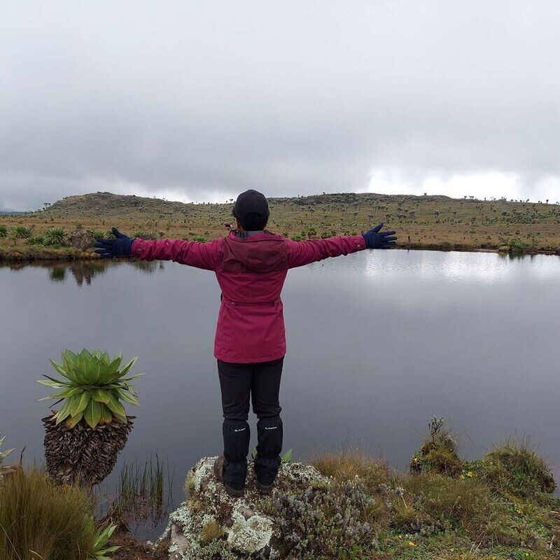 Seven Ponds Moorland Trail