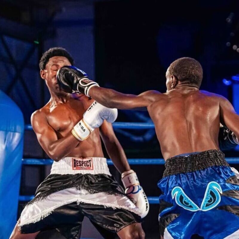 Universe Boxing Champion