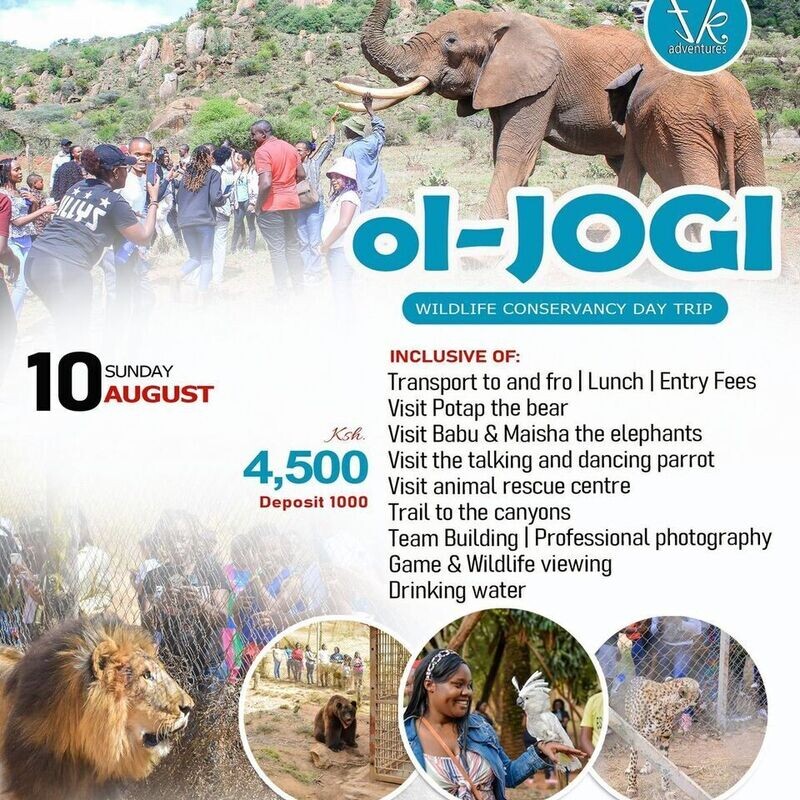 Ol Jogi Conservancy Day Trip
