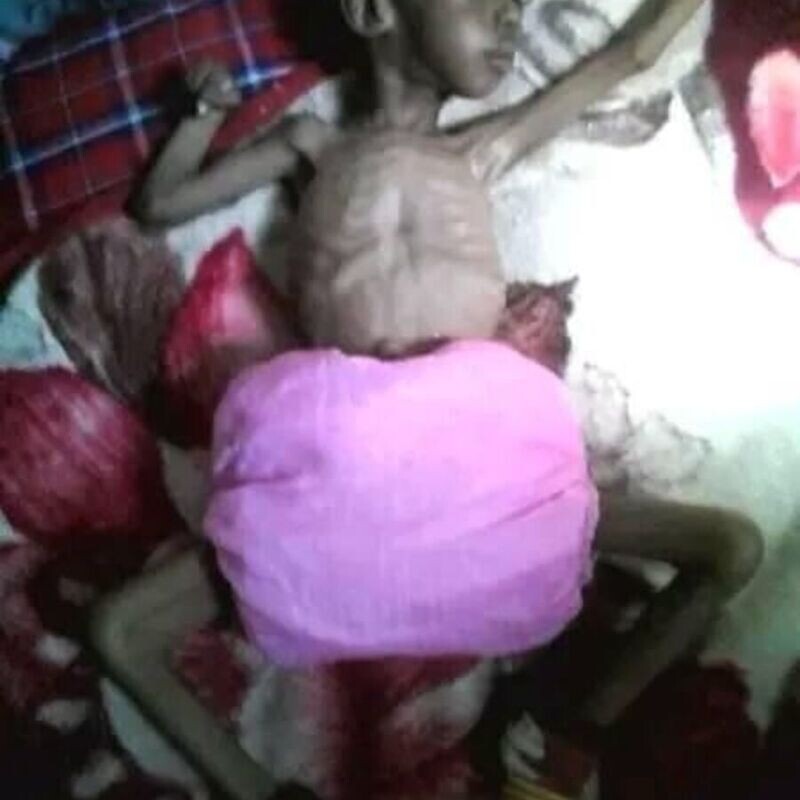 Rescue Centre Opening Day