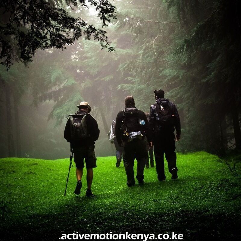 Kereita Forest Hike Expedition