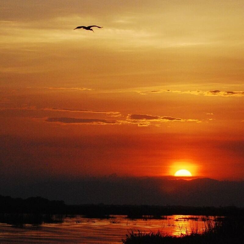 Red Chilli 3 Day Big 5 Safari @ $445 pp