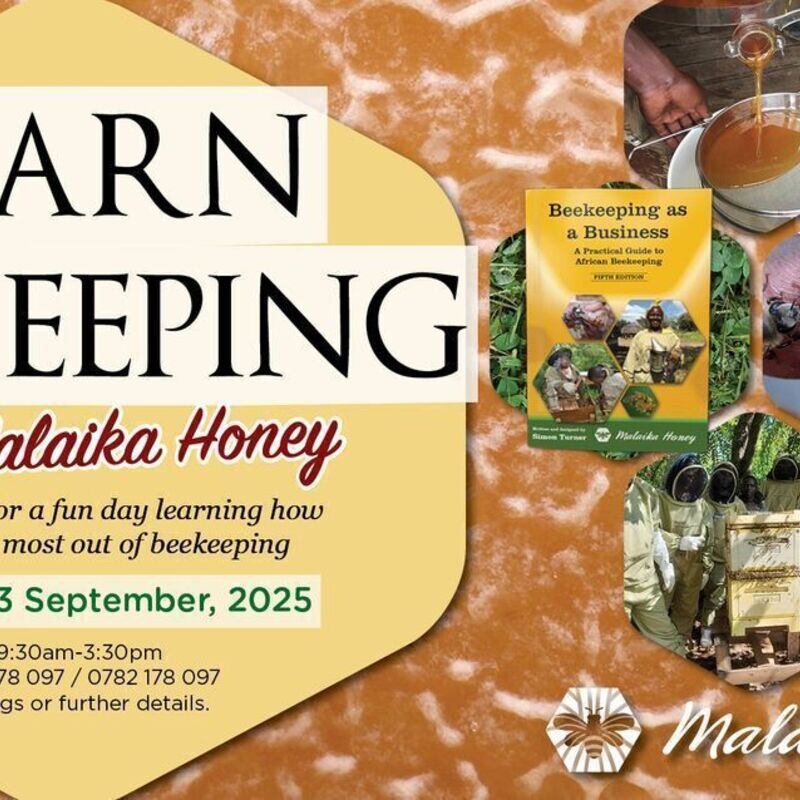 Malaika Honey Beekeeping Workshop
