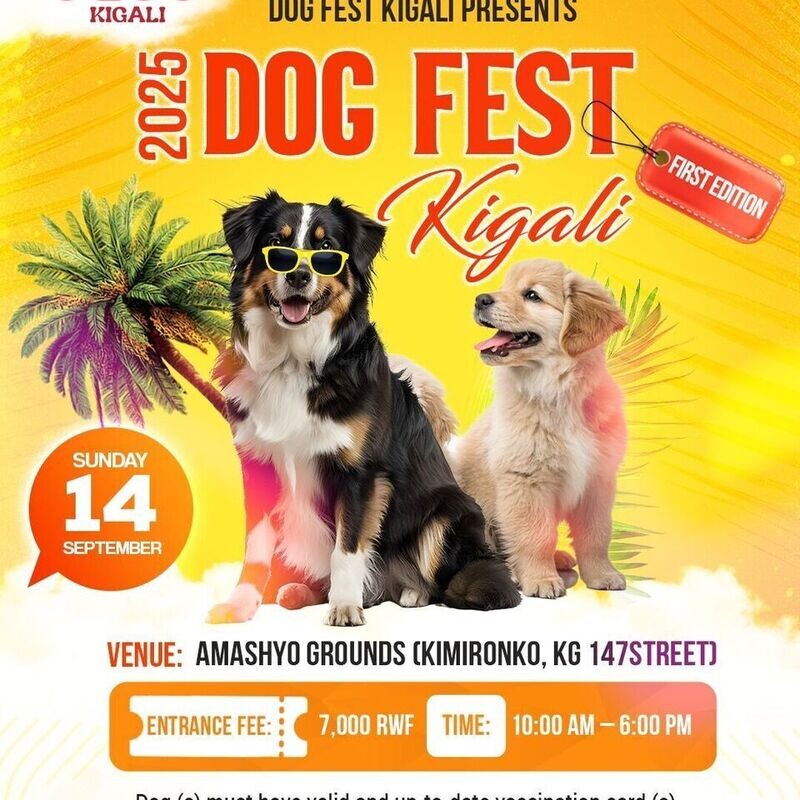 Dog Fest