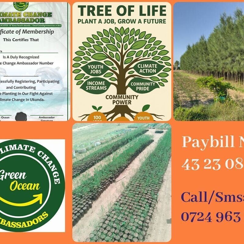 TREE OF LIFE YOUTH PROJECT