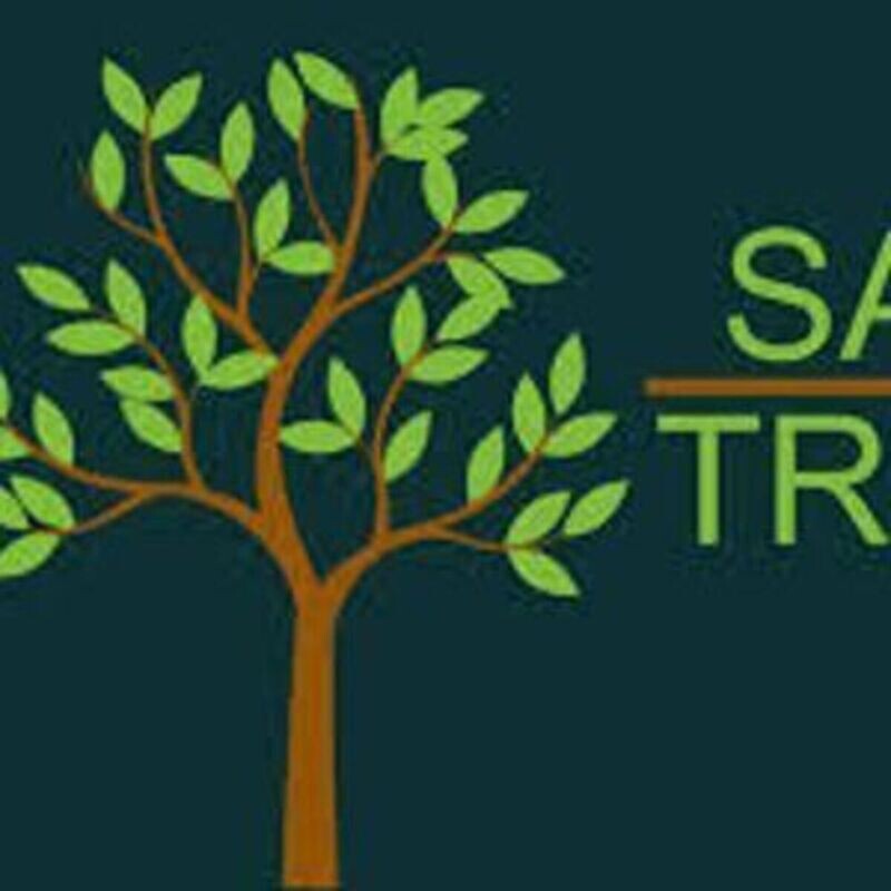 Tree Planting Exercise