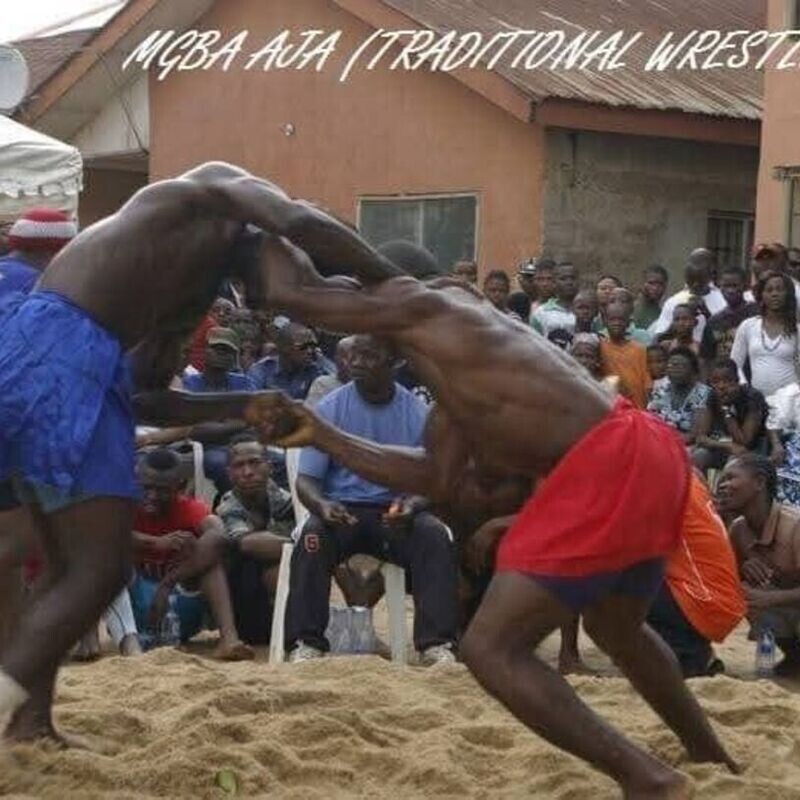 Mgba Aja Traditional Wresting Festival