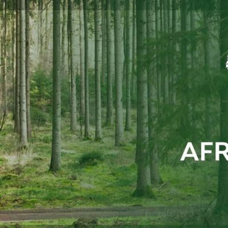 The Second Africa Climate Summit