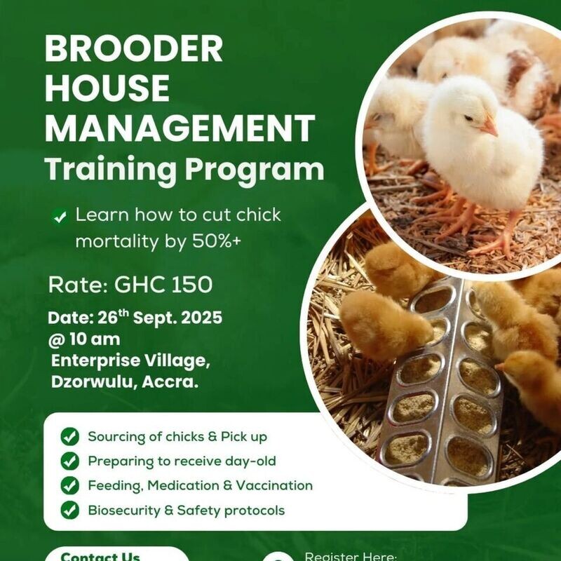 Poultry Management Program