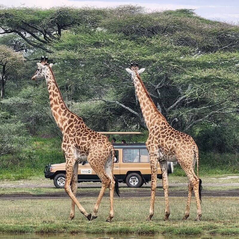 Nairobi Miracle Crusade