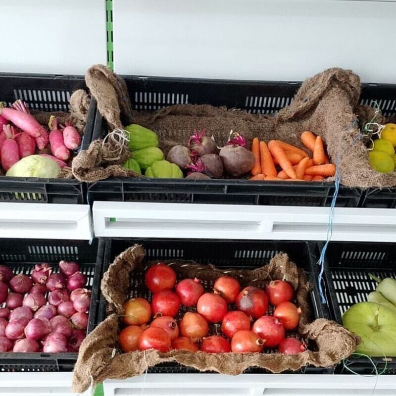 Fresh-o-fresh Organic Vegetables and Fruits Now Available