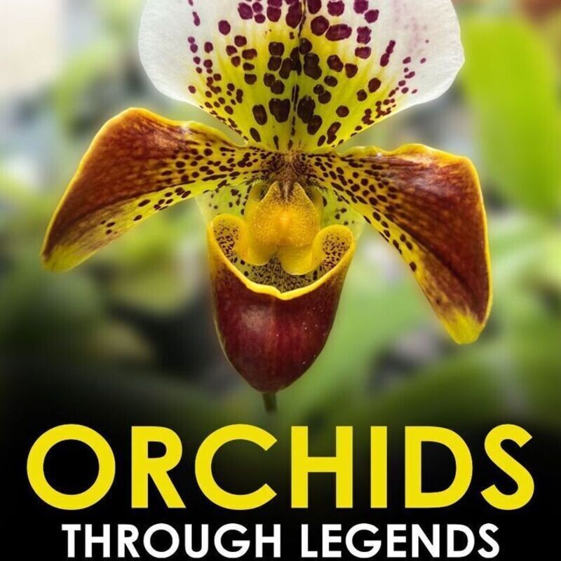 Kenya Orchid Society Annual Show