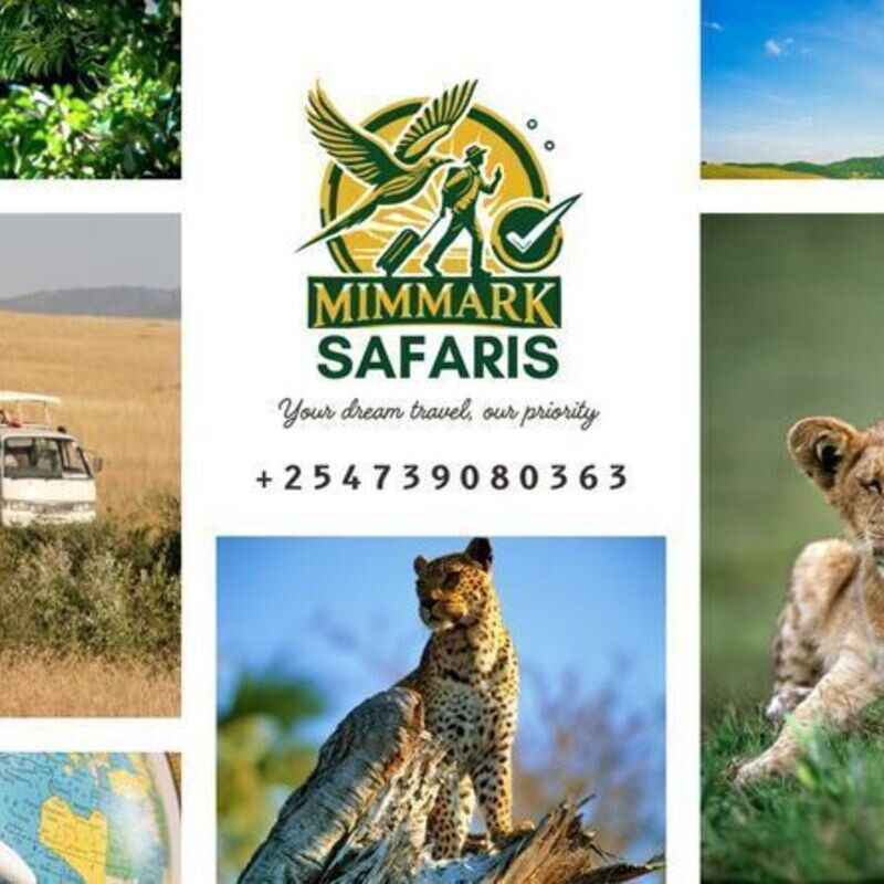 Masai Mara Wildebeest Migration