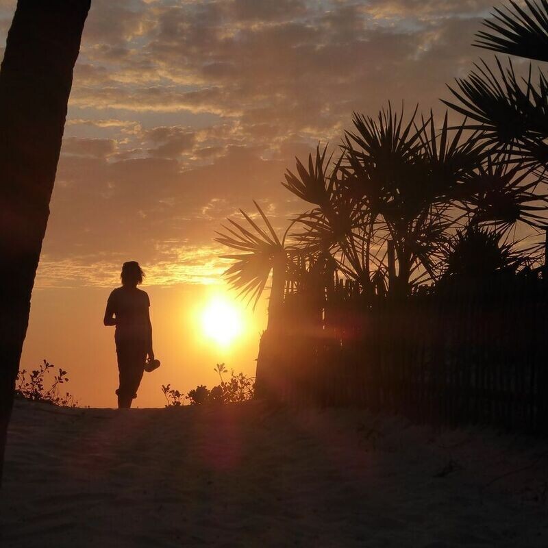 Kenya and Tanzania Tree Planting Holiday - Travel with a difference that really makes a difference.