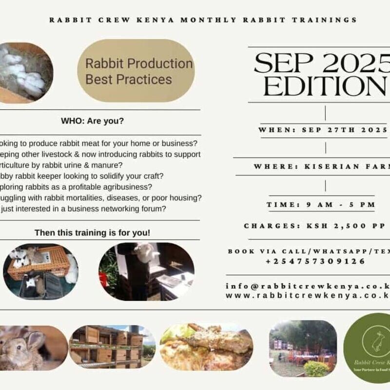 Rabbit Production Training - Sep 2025 Cohort