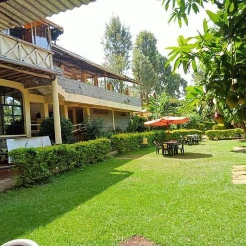 Park N Chill, Out in the Woods, Mashujaa Edition