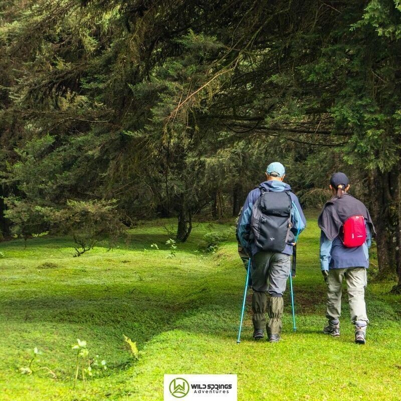 Kereita Forest Hike and Waterfalls Chase Trek