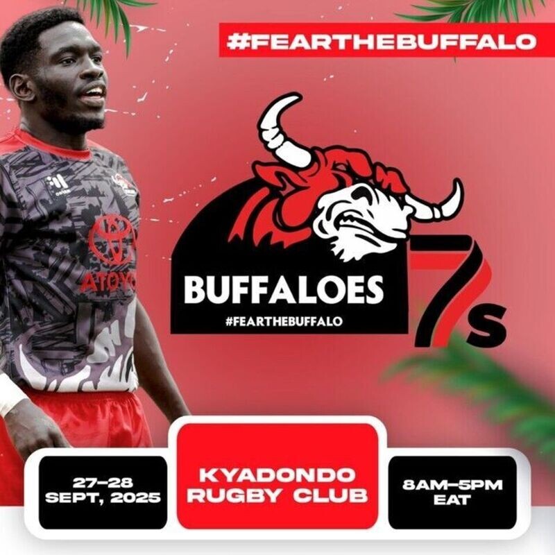 Buffaloes  7S