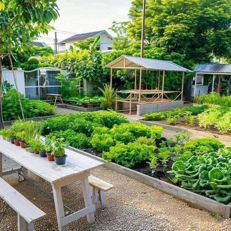 Achieve your dreams and goals by building your own brand