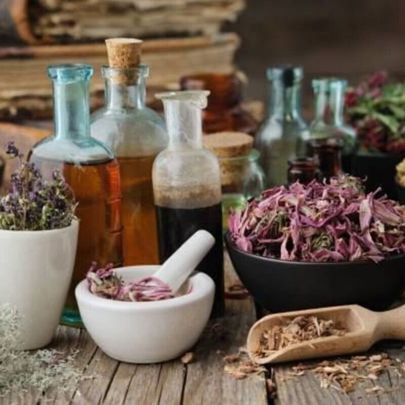 Traditional Healer Consultation – I Welcome You All, Just Get Out My Number for Any Help You Want