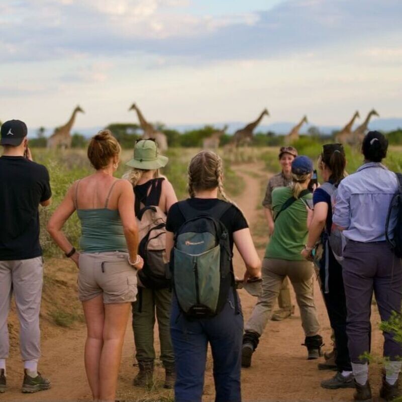 Junior Conservation Experience 2025