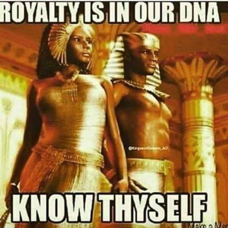 UN-VEILING AND INTRODUCTION TO PUBLIC